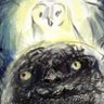 Squatch's profile picture