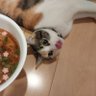 Mugichan 的头像