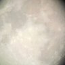 ve's profile picture