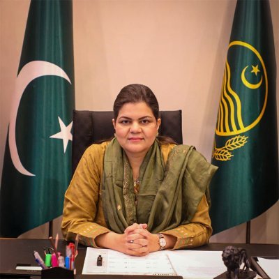 SalmaButtPMLN's profile picture