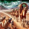 fahad 的头像