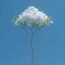 airyg's profile picture