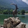 Ciprian Marius profil fotoğrafı