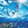 Фото профиля kalergi enjoyer