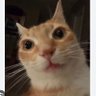 sub boy's profile picture