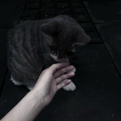 Lone-'s profile picture