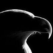 .'s profile picture