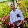 Abdulmalik Olarenwaju 的头像