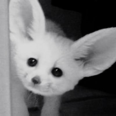 삼부's profile picture