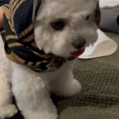 ad0rab11e's profile picture
