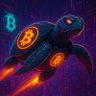 TURTLE's profile picture