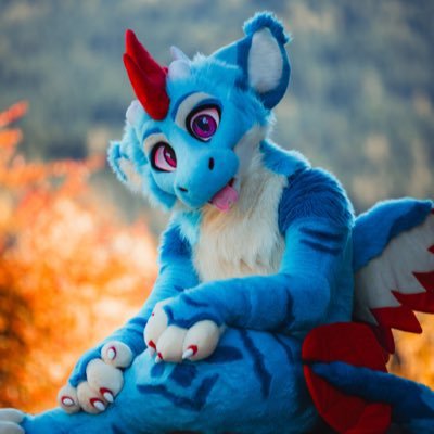 MaverickTheHusk's profile picture