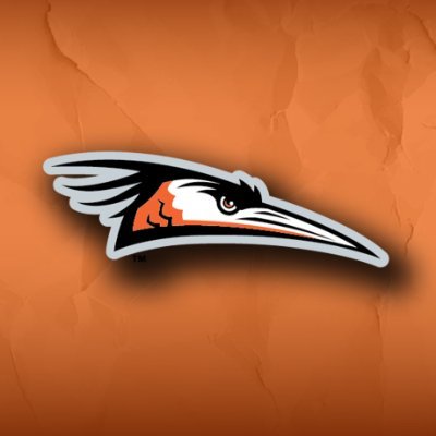 shorebirds's profile picture
