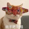 Profilbild von 我很純潔