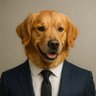 arj profil fotoğrafı