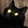 Bonita's profile picture