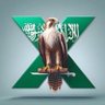A.L 2030 KSA 🇸🇦 profil fotoğrafı