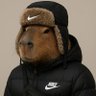 Qrz's profile picture