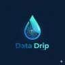 Фото профиля Data Drip