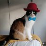 ralfines's profile picture