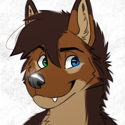 KodaWolf_IRL's profile picture