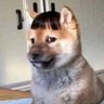 AAa's profile picture