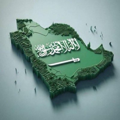 alhoznawi's profile picture