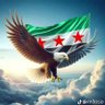 سامر's profile picture