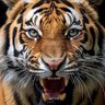 Profilbild von 元・湘南猛虎