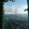 Фото профиля 家栽の人