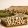 lahbib abm's profile picture