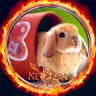 Healthy Rabbit profil fotoğrafı