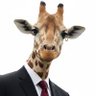 コジータ's profile picture