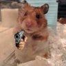 vergo.1M's profile picture