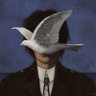 MARTINS. C.'s profile picture