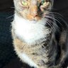 JCarter 🇺🇸 profil fotoğrafı
