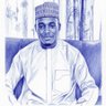 Aliyu 的头像