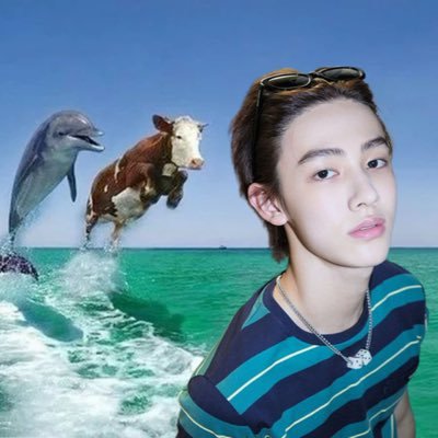 🈶's profile picture