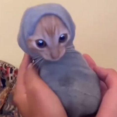 WebUndefeated's profile picture