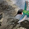 故渊 profil fotoğrafı
