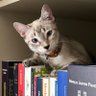 Not so cute and tired's profile picture
