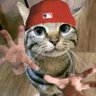 XGH's profile picture