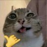 RonjaBitchCockChewer profil fotoğrafı