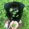 no.1 的头像