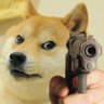 PawfectViral profil fotoğrafı
