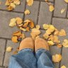Фото профиля 🍂Autumnlove🍂