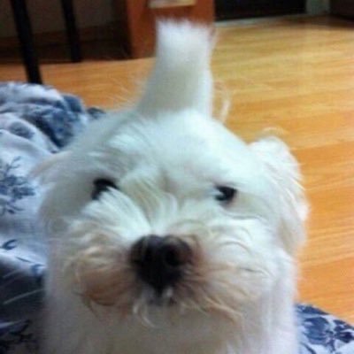 letssoong's profile picture