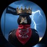 MAGA Duck 🏴's profile picture