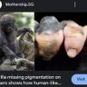 Allek Nastassen's profile picture