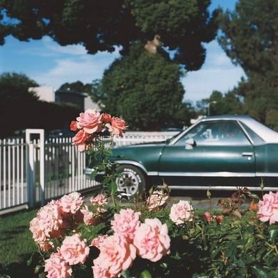 Alb2910's profile picture